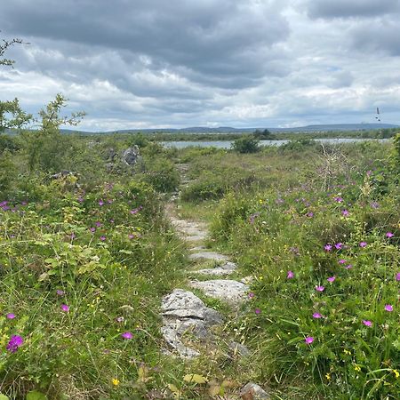 Luxury Glamping Dome With Views Of The Burren Villa Boston Kültér fotó