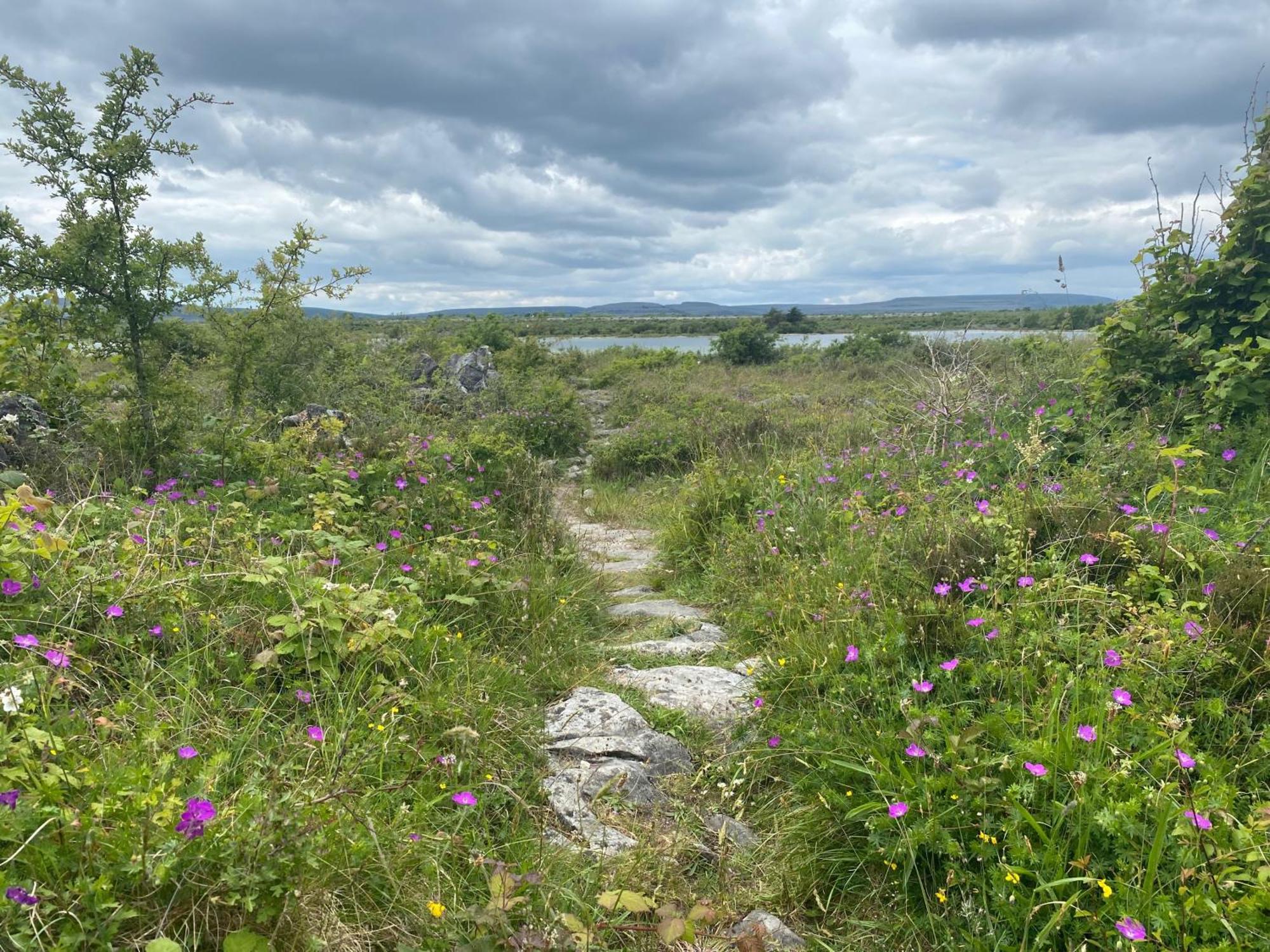 Luxury Glamping Dome With Views Of The Burren Villa Boston Kültér fotó